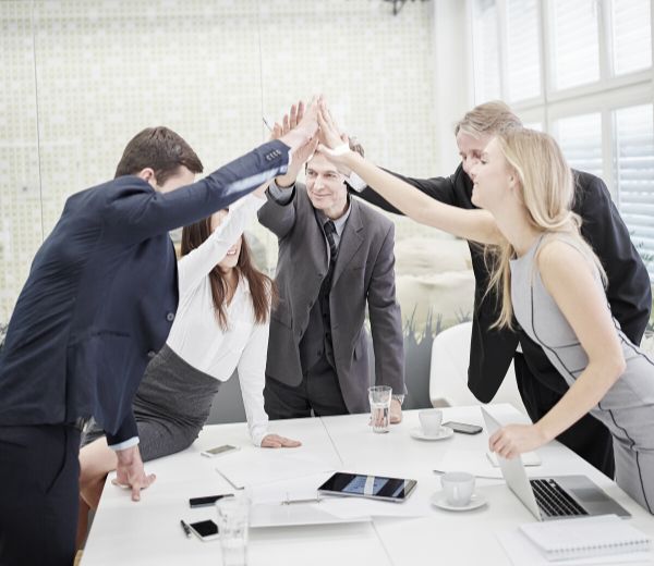 IT Agency (1)