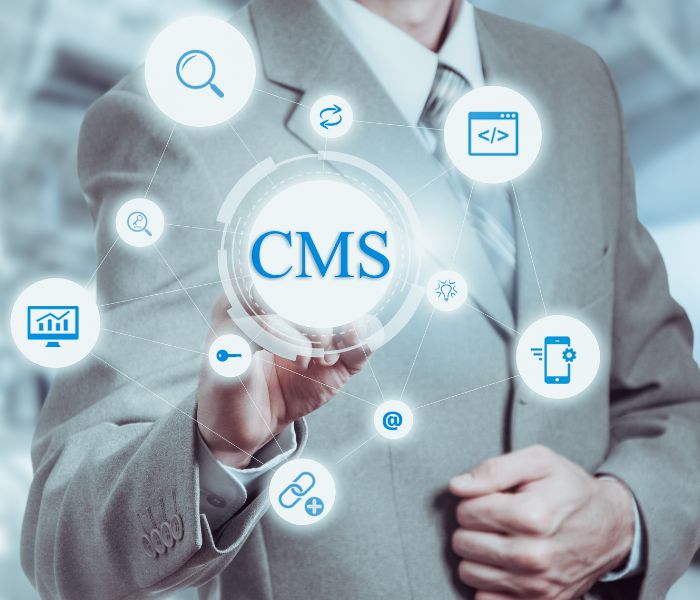 Web Development (7)